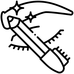 خدمات ناخن